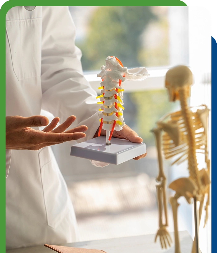 Doctor explaining spine anatomy using a vertebral model during orthopedic consultation.